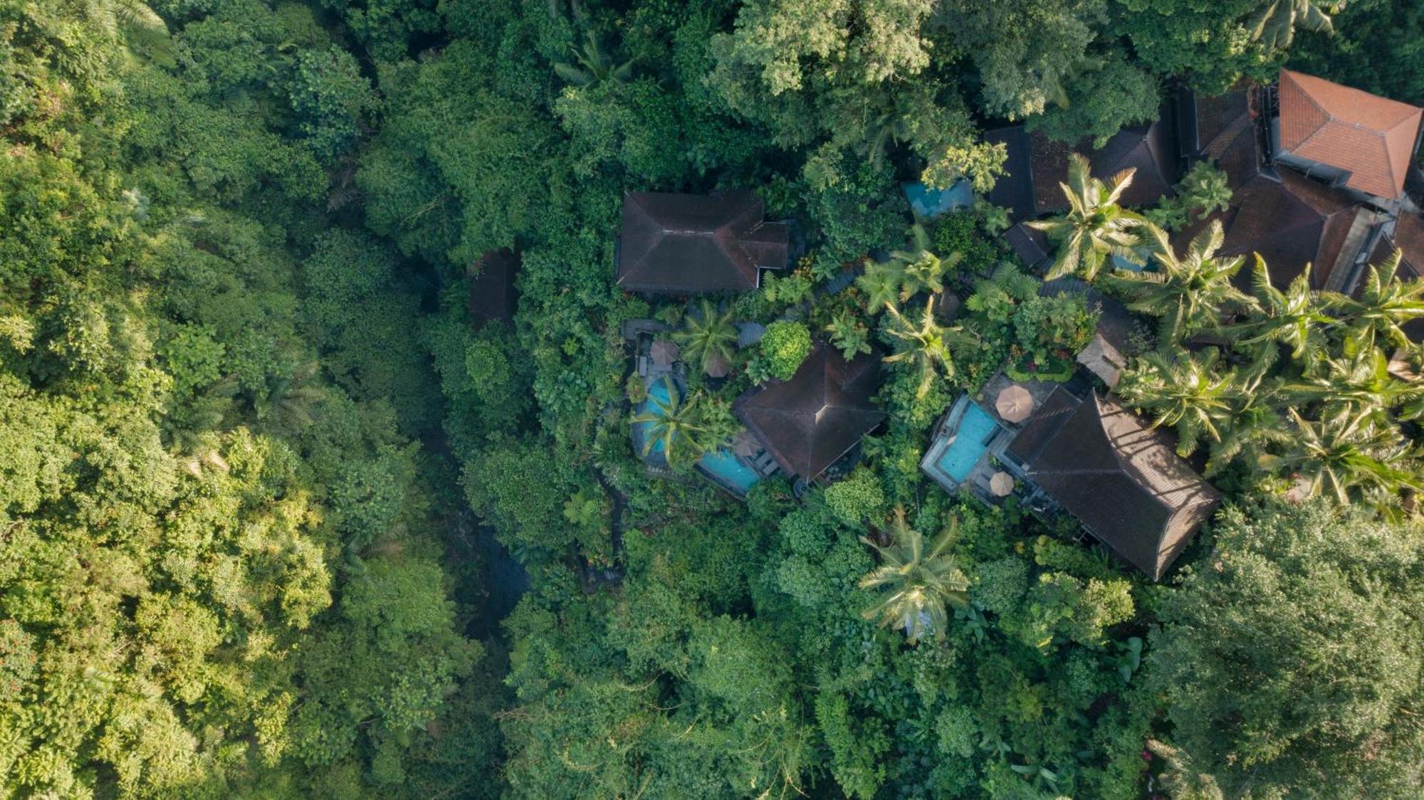 Bidadari Private Villas & Retreat Ubud Exteriér fotografie